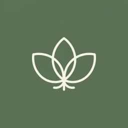 Estudio Aire logo